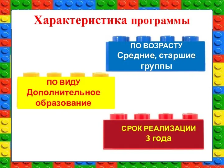 Характеристика программы ПО ВИДУ Дополнительное образование СРОК РЕАЛИЗАЦИИ 3 года