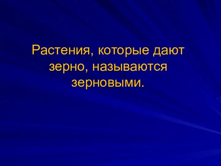 Растения, которые дают зерно, называются зерновыми.