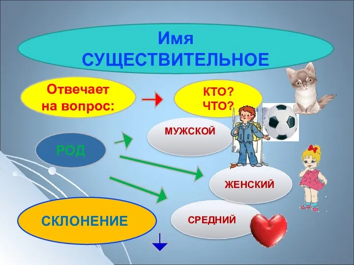 Имя СУЩЕСТВИТЕЛЬНОЕ Отвечает на вопрос: СКЛОНЕНИЕ МУЖСКОЙ КТО? ЧТО? СРЕДНИЙ РОД ЖЕНСКИЙ