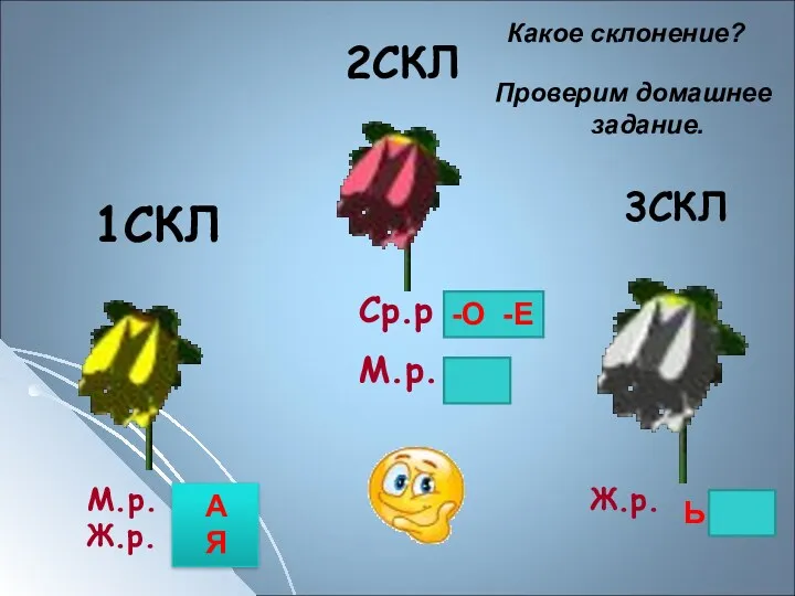 1СКЛ 2СКЛ 3СКЛ М.р. Ж.р. Ж.р. Какое склонение? Проверим домашнее задание. А Я -О -Е Ь