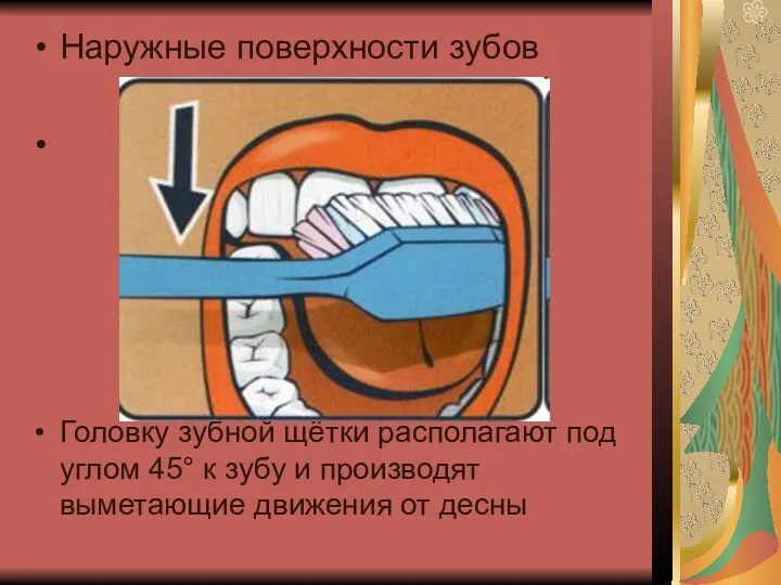 Наружные поверхности зубов Головку зубной щётки располагают под углом 45°