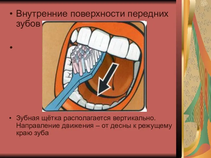 Внутренние поверхности передних зубов Зубная щётка располагается вертикально. Направление движения