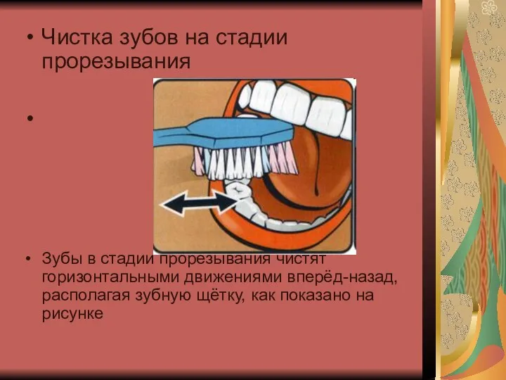Чистка зубов на стадии прорезывания Зубы в стадии прорезывания чистят