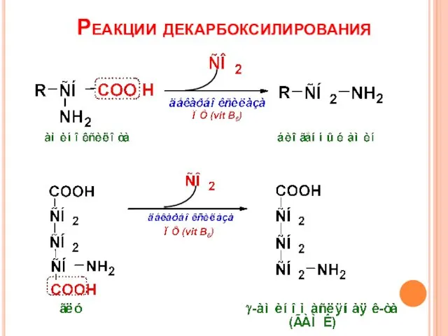 Реакции декарбоксилирования