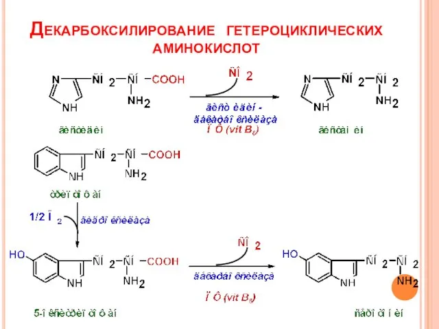 Декарбоксилирование гетероциклических аминокислот