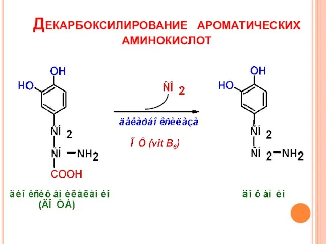 Декарбоксилирование ароматических аминокислот