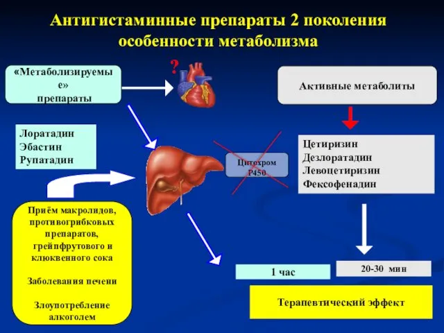 Антигистаминные препараты 2 поколения особенности метаболизма Терапевтический эффект 20-30 мин