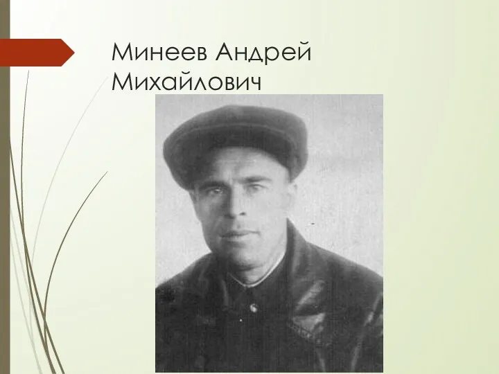 Минеев Андрей Михайлович