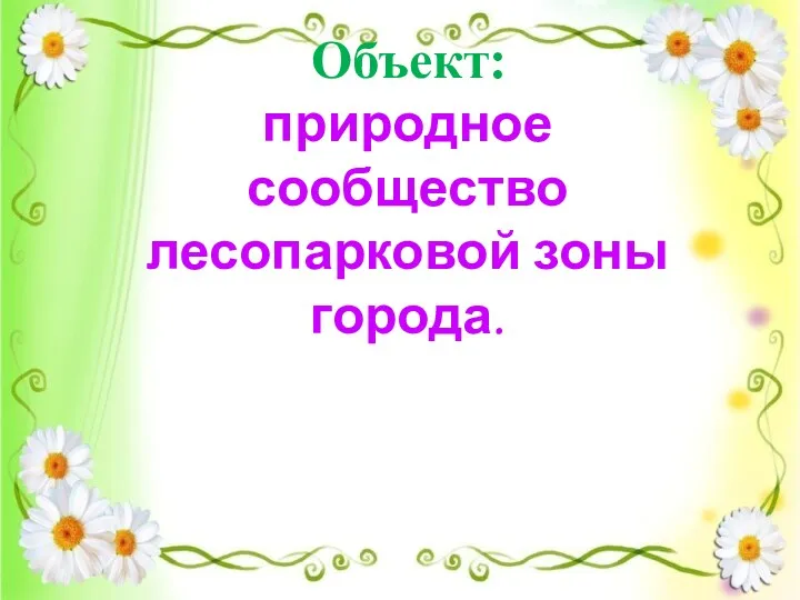 Объект: природное сообщество лесопарковой зоны города.