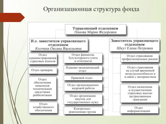 Организационная структура фонда