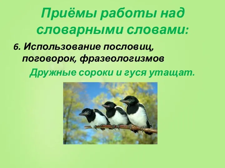 Приёмы работы над словарными словами: 6. Использование пословиц, поговорок, фразеологизмов Дружные сороки и гуся утащат.