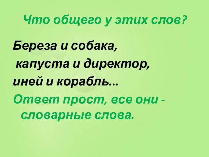 Что общего у этих слов? Береза и собака, капуста и