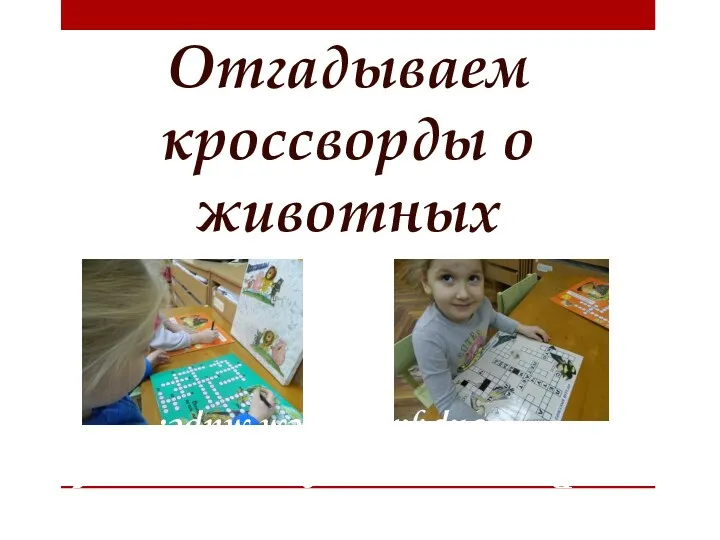 Отгадываем кроссворды о животных Расширяем представления об окружающем мире.