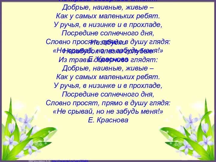 Незабудки Незабудок глазки голубые Из травы доверчиво глядят: Добрые, наивные, живые – Как