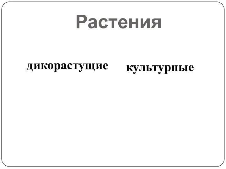 Растения дикорастущие культурные