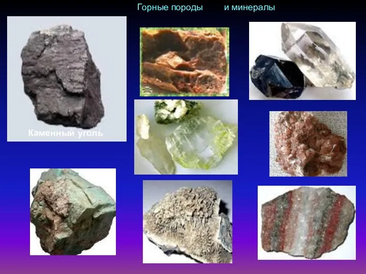 Каменный уголь Горные породы и минералы