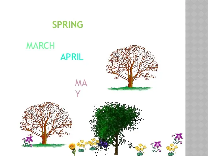 SPRING MARCH APRIL MAY