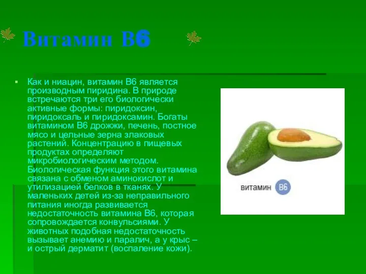 Витамин В6 Как и ниацин, витамин B6 является производным пиридина.