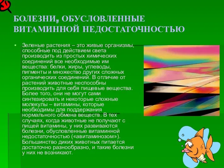 БОЛЕЗНИ, ОБУСЛОВЛЕННЫЕ ВИТАМИННОЙ НЕДОСТАТОЧНОСТЬЮ Зеленые растения – это живые организмы, способные под действием