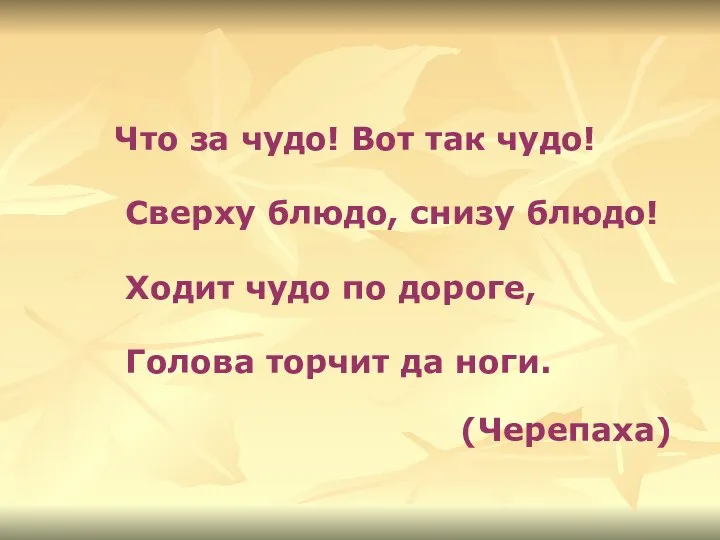 Что за чудо! Вот так чудо! Сверху блюдо, снизу блюдо!