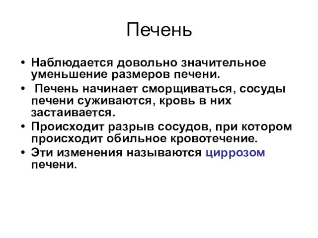 Печень Наблюдается довольно значительное уменьшение размеров печени. Печень начинает сморщиваться,