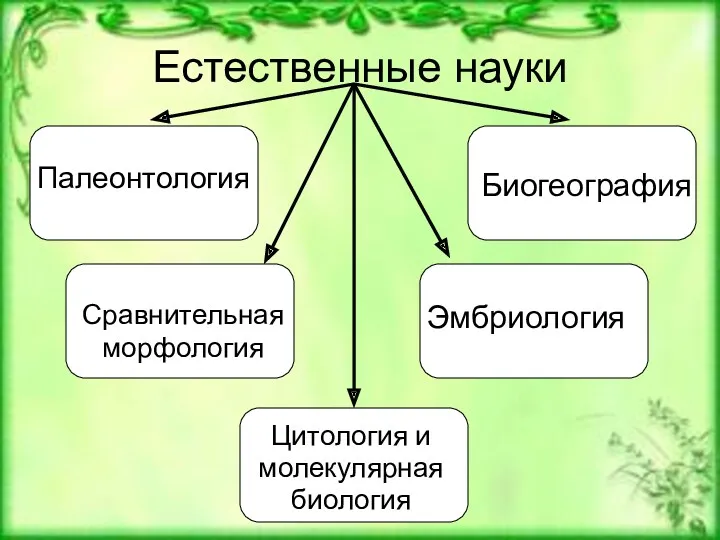 Естественные науки Цитология и молекулярная биология Сравнительная морфология Палеонтология Эмбриология Биогеография