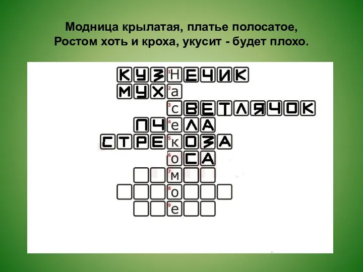 Модница крылатая, платье полосатое, Ростом хоть и кроха, укусит - будет плохо.