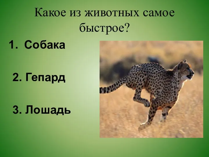 Какое из животных самое быстрое? Собака 2. Гепард 3. Лошадь