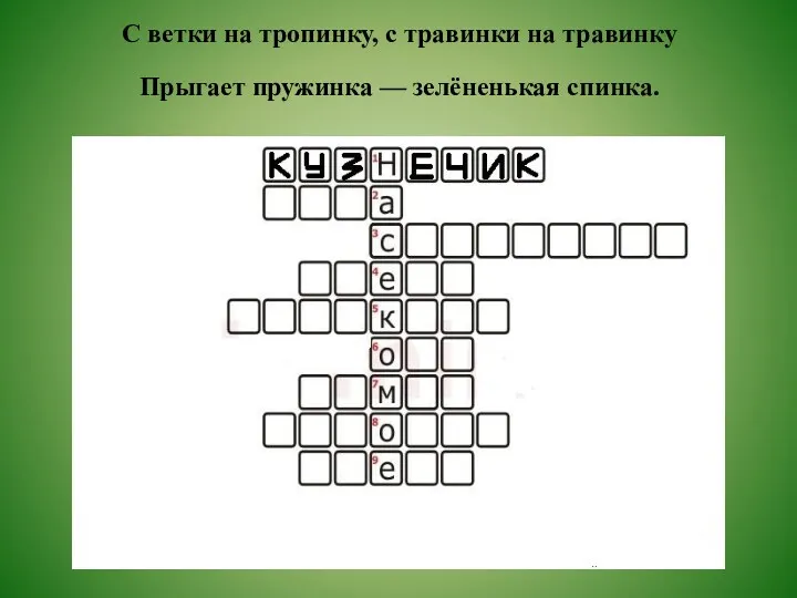 С ветки на тропинку, с травинки на травинку Прыгает пружинка — зелёненькая спинка.