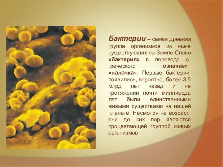 Бактерии – самая древняя группа организмов из ныне существующих на