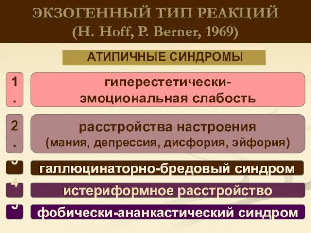 ЭКЗОГЕННЫЙ ТИП РЕАКЦИЙ (H. Hoff, P. Berner, 1969) АТИПИЧНЫЕ СИНДРОМЫ галлюцинаторно-бредовый синдром расстройcтва