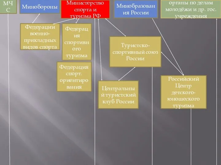 МЧС Минобороны Министерство спорта и туризма РФ Минобразования России органы