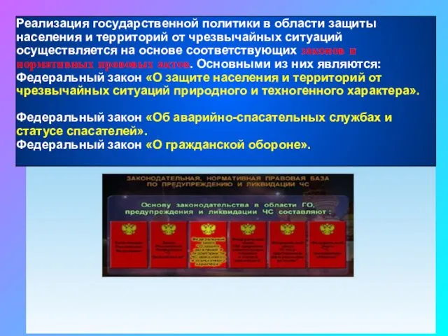 Реализация государственной политики в области защиты населения и территорий от