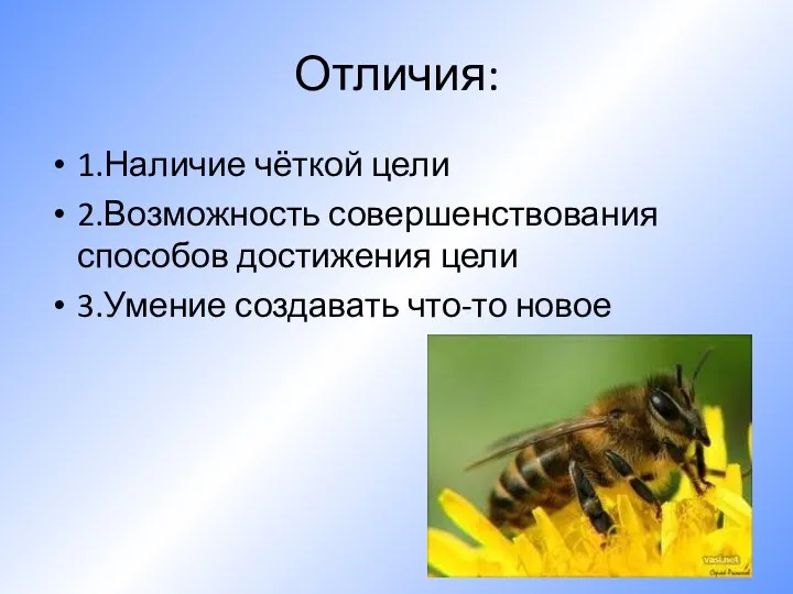 Отличия: 1.Наличие чёткой цели 2.Возможность совершенствования способов достижения цели 3.Умение создавать что-то новое