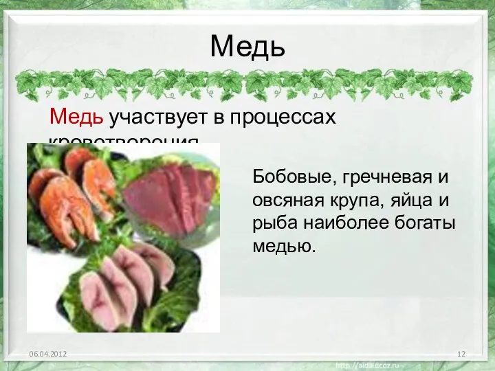 Медь Медь участвует в процессах кроветворения. Бобовые, гречневая и овсяная