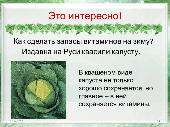 Это интересно! Как сделать запасы витаминов на зиму? Издавна на