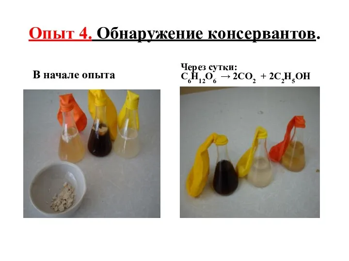 Опыт 4. Обнаружение консервантов. В начале опыта Через сутки: С6H12O6 → 2CO2 + 2C2H5OH