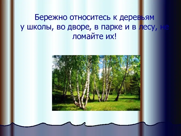 Бережно относитесь к деревьям у школы, во дворе, в парке и в лесу, не ломайте их!