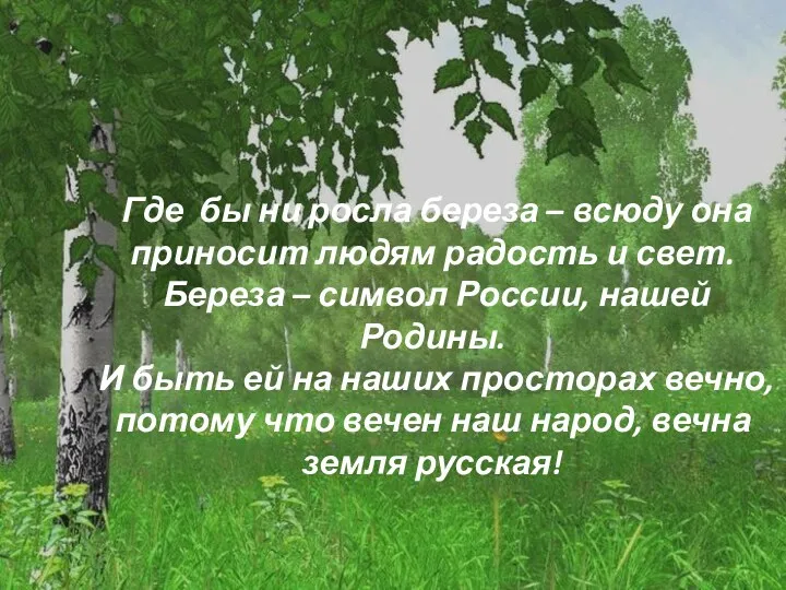 Где бы ни росла береза – всюду она приносит людям