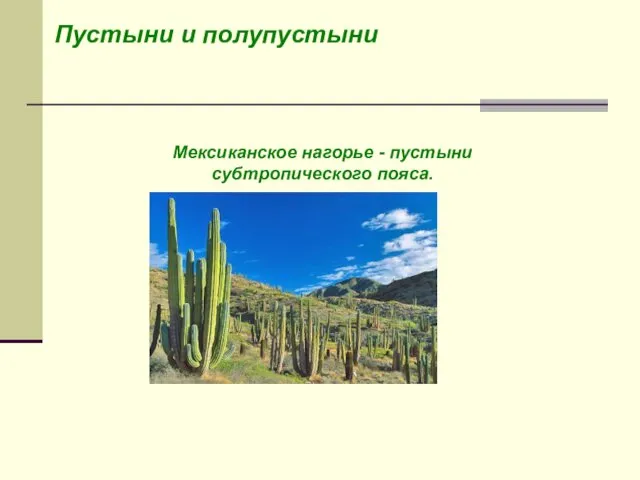 Пустыни и полупустыни Мексиканское нагорье - пустыни субтропического пояса.