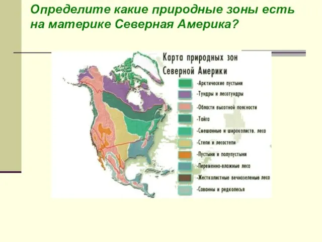 Определите какие природные зоны есть на материке Северная Америка?