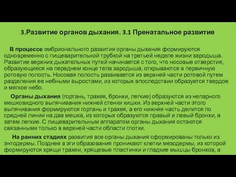 3.Развитие органов дыхания. 3.1 Пренатальное развитие В процессе эмбрионального развития