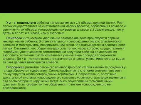 У 2 – 3- недельного ребенка легкие занимают 2/3 объема