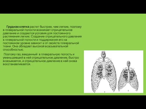 Грудная клетка растет быстрее, чем легкие, поэтому в плевральной полости