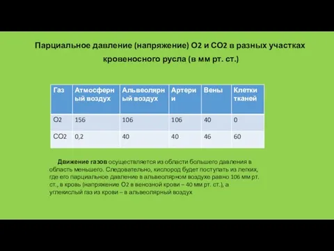 Парциальное давление (напряжение) О2 и СО2 в разных участках кровеносного
