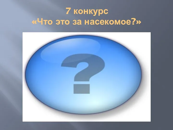 7 конкурс «Что это за насекомое?»