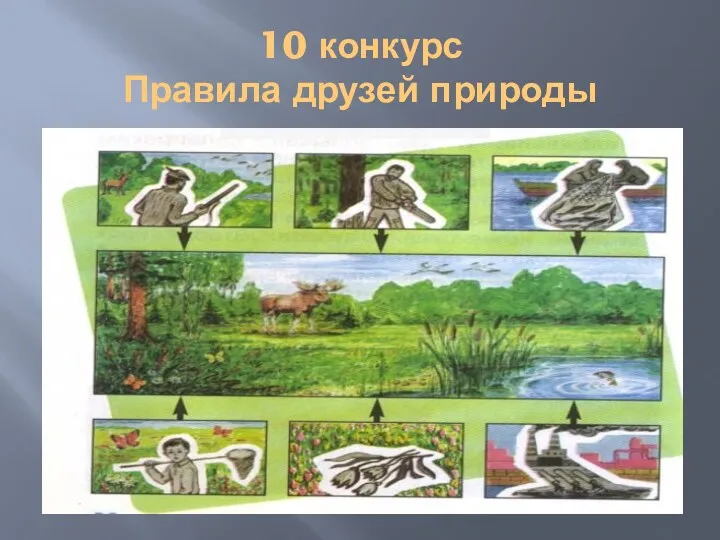 10 конкурс Правила друзей природы