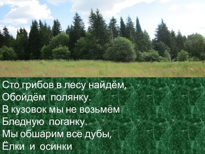 Сто грибов в лесу найдём, Обойдём полянку. В кузовок мы не возьмём Бледную