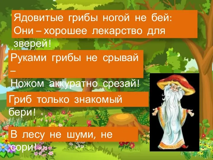 В лесу не шуми, не сори! Гриб только знакомый бери! Руками грибы не