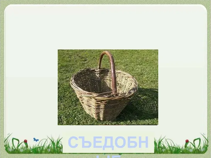 СЪЕДОБНЫЕ